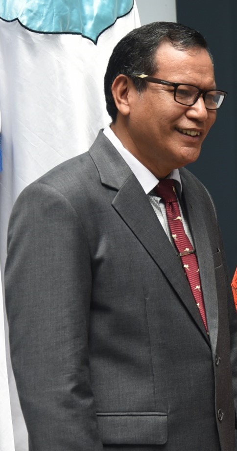 Prof. Dr. Ir. Nathanael Sitanggang, S.T., M.Pd., IPM., ASEAN Eng., CIRR.